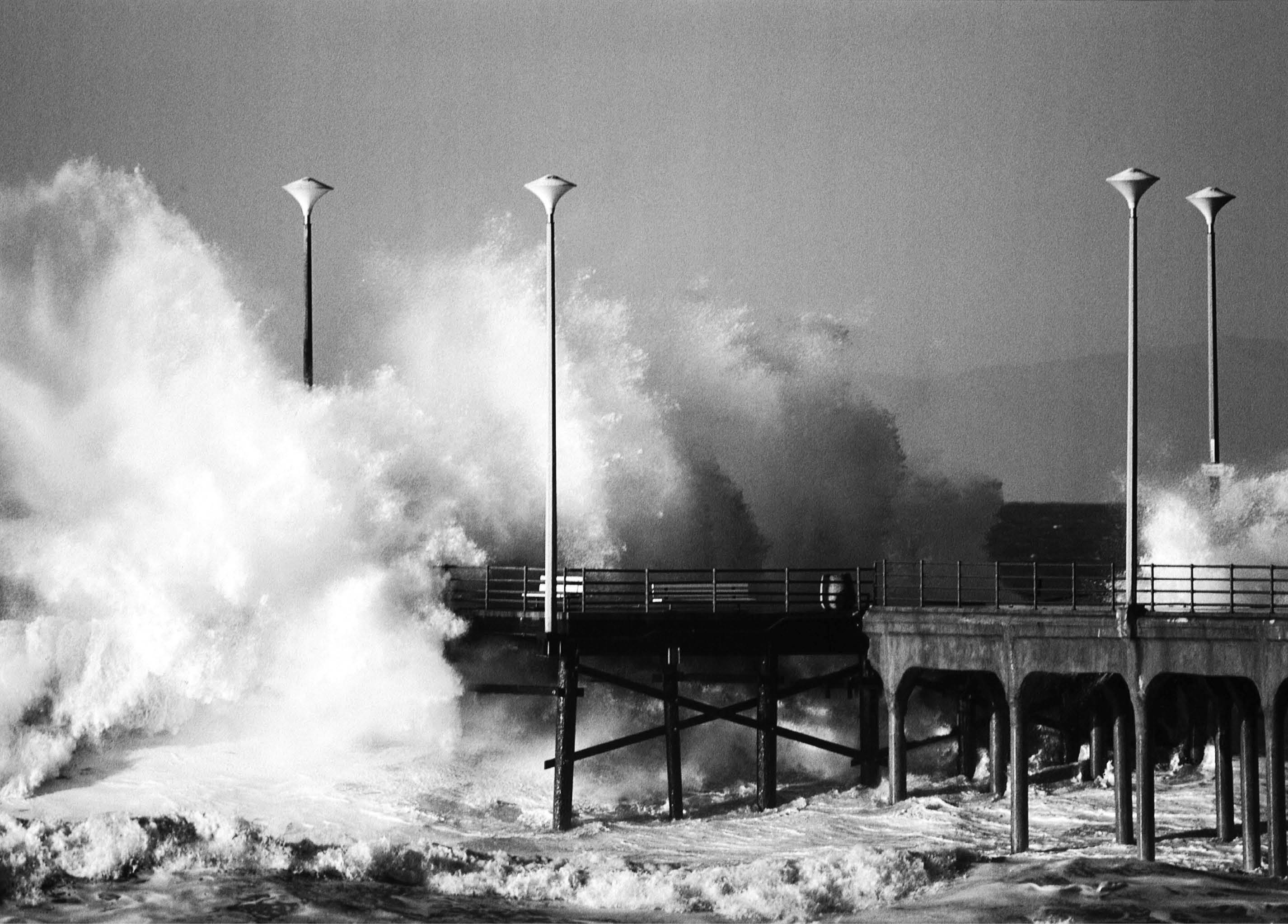 Typhoon Terror